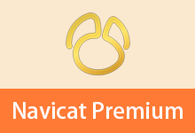 数据库管理工具 | Navicat Premium（v17.3.11.0）