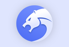 猎豹浏览器 (9.0.112.22446)