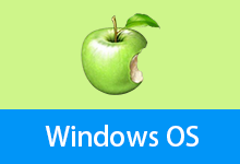 Win10 22H2 19045.6693 Pro x64 优化版 - 網傲 (20260113)